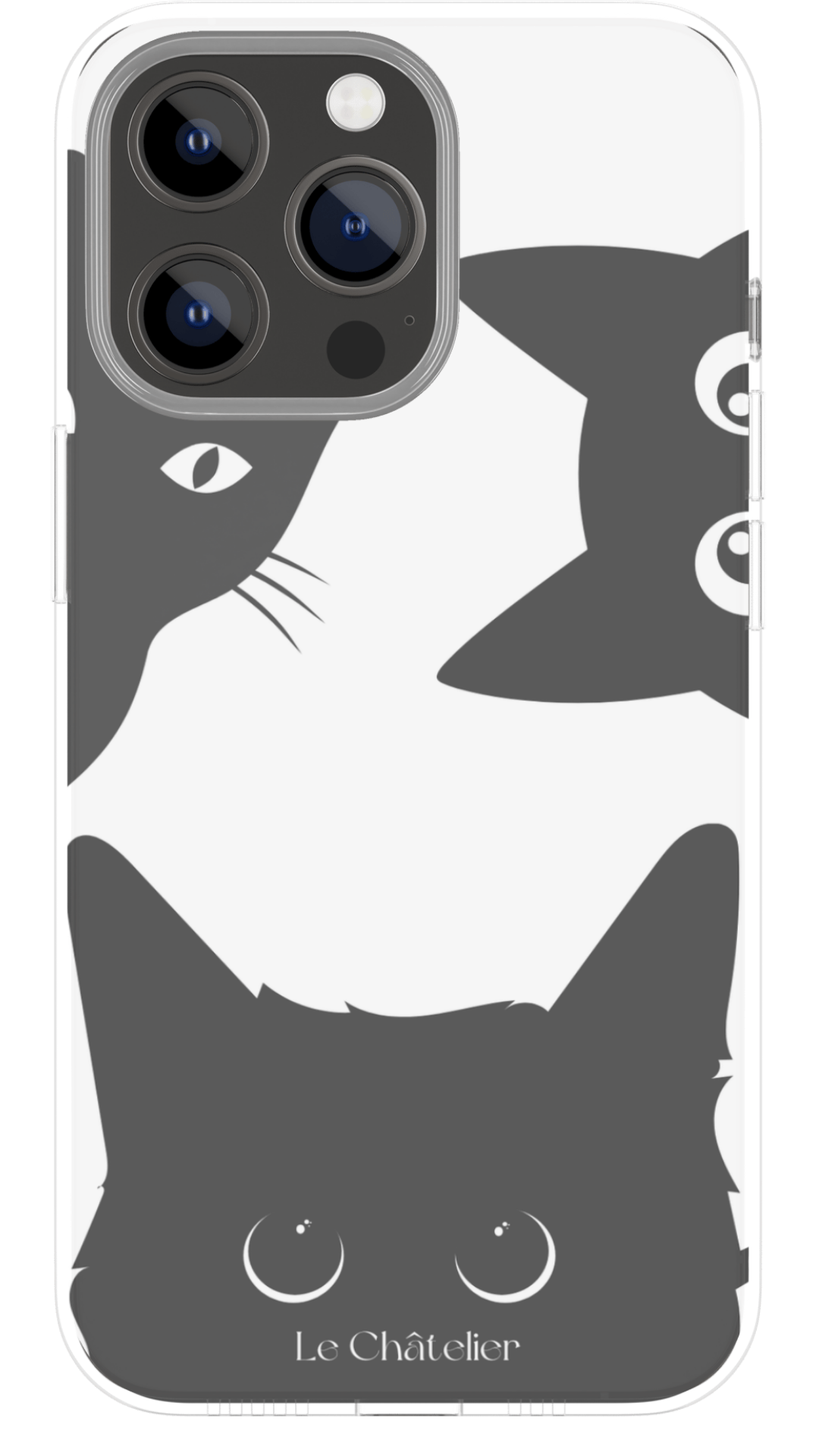 Coque Chat perché